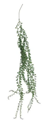 © Hanging Ragworts Succulent Spray