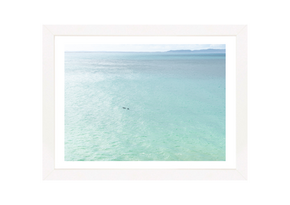 Noosa Sparkle with Dolphins Print (JMF)