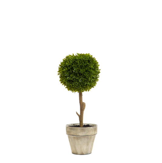 © Boxwood topiary 47cm