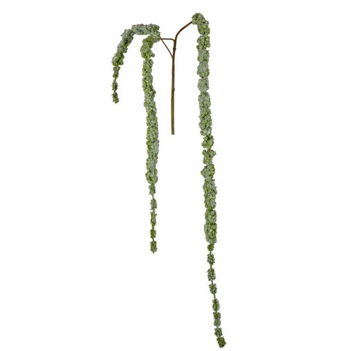 © Amaranthus hanging spray 1.45m